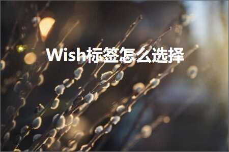 璺ㄥ鐢靛晢鐭ヨ瘑:Wish鏍囩鎬庝箞閫夋嫨