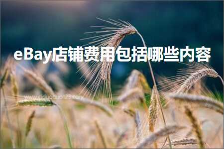 璺ㄥ鐢靛晢鐭ヨ瘑:eBay搴楅摵璐圭敤鍖呮嫭鍝簺鍐呭